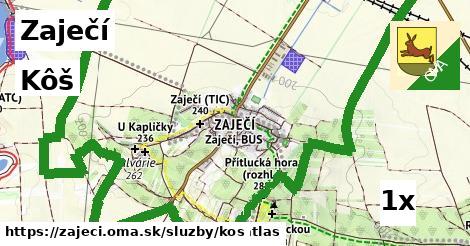 Kôš, Zaječí