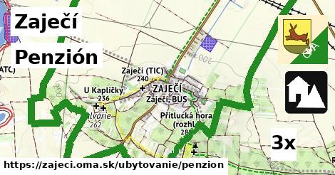 Penzión, Zaječí