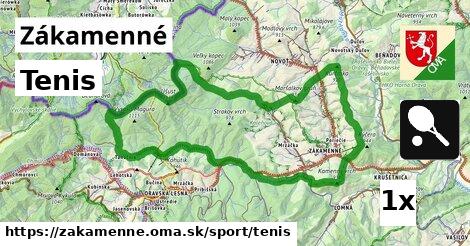 Tenis, Zákamenné