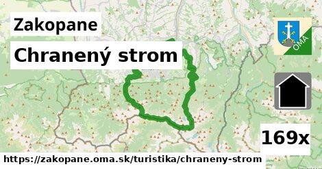 Chranený strom, Zakopane