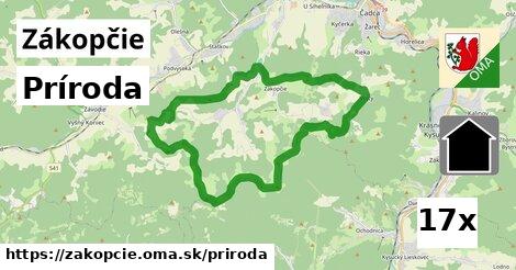 príroda v Zákopčie