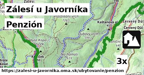Penzión, Zálesí u Javorníka