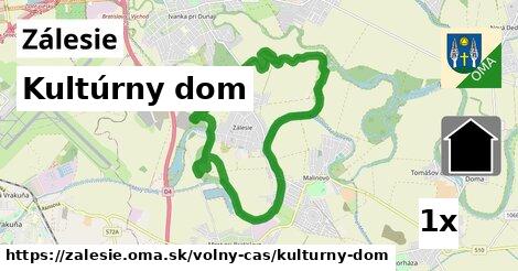 Kultúrny dom, Zálesie