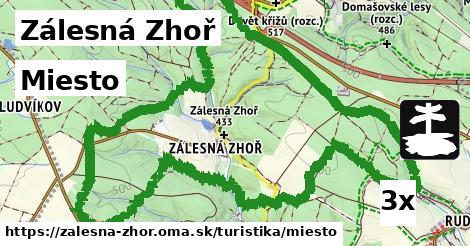 Miesto, Zálesná Zhoř