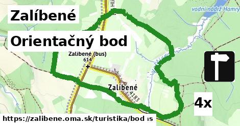Orientačný bod, Zalíbené