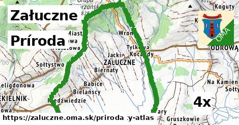 príroda v Załuczne