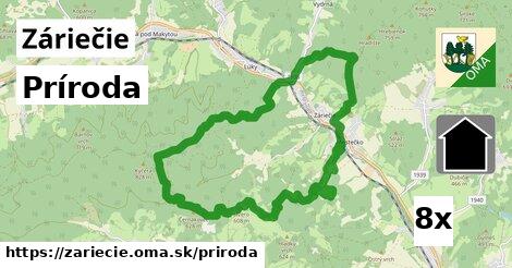 príroda v Záriečie