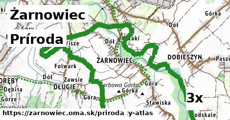 príroda v Żarnowiec