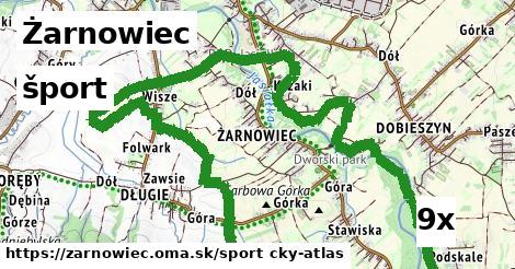 šport v Żarnowiec