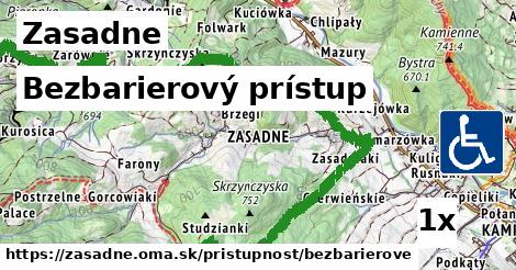 Bezbarierový prístup, Zasadne