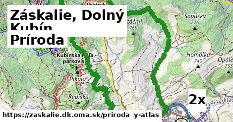 príroda v Záskalie, Dolný Kubín