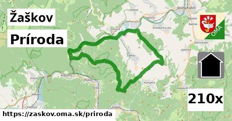 príroda v Žaškov