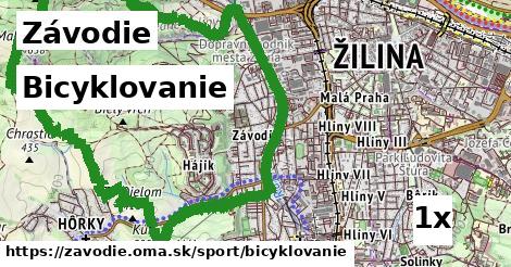 Bicyklovanie, Závodie