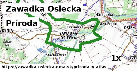 príroda v Zawadka Osiecka