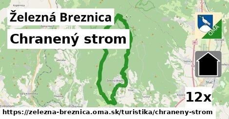 Chranený strom, Železná Breznica