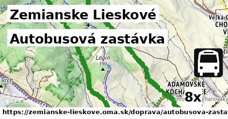 Autobusová zastávka, Zemianske Lieskové