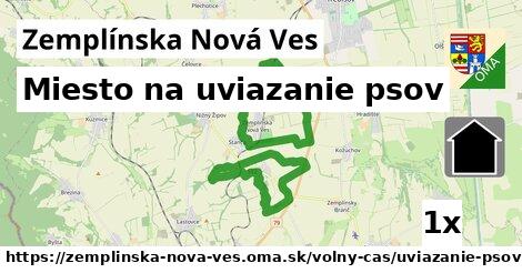 Miesto na uviazanie psov, Zemplínska Nová Ves