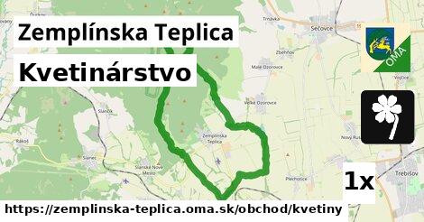 Kvetinárstvo, Zemplínska Teplica