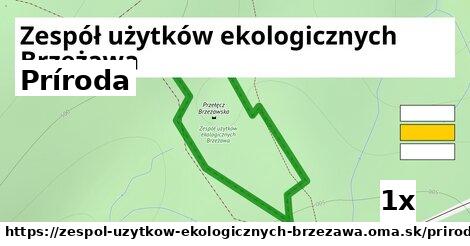 príroda v Zespół użytków ekologicznych Brzeżawa