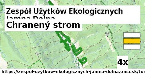 Chranený strom, Zespół Użytków Ekologicznych Jamna Dolna