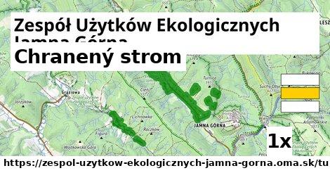 Chranený strom, Zespół Użytków Ekologicznych Jamna Górna