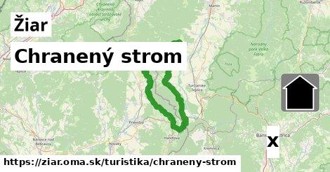 Chranený strom, Žiar