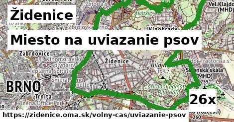 Miesto na uviazanie psov, Židenice