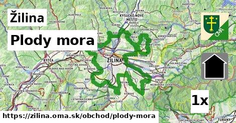 plody mora v Žilina