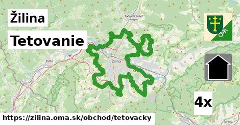 Tetovanie, Žilina