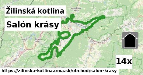 Salón krásy, Žilinská kotlina