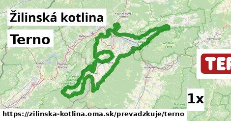 Terno, Žilinská kotlina