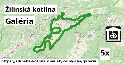 Galéria, Žilinská kotlina