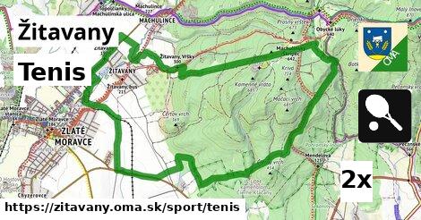Tenis, Žitavany