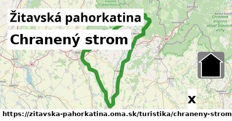 Chranený strom, Žitavská pahorkatina