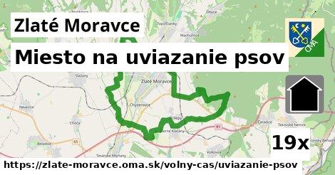 miesto na uviazanie psov v Zlaté Moravce