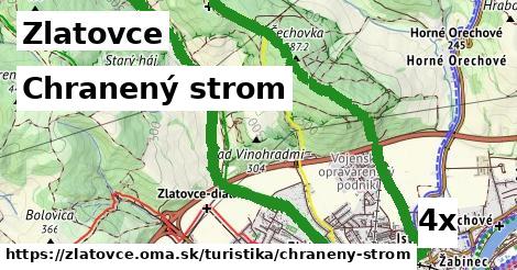 Chranený strom, Zlatovce