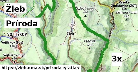 príroda v Žleb