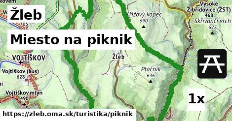 Miesto na piknik, Žleb