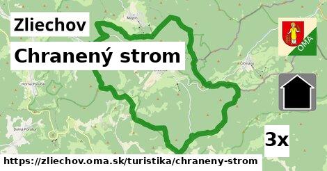 Chranený strom, Zliechov