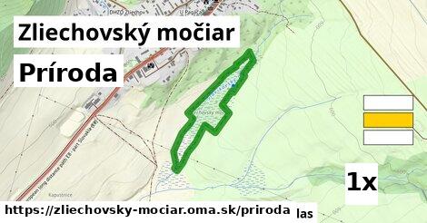 príroda v Zliechovský močiar