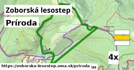 príroda v Zoborská lesostep