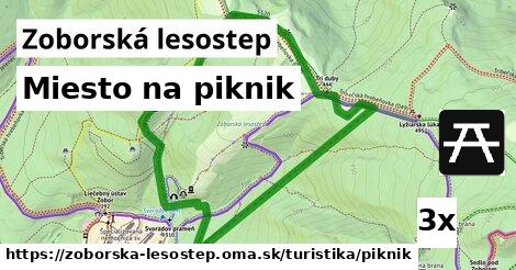 Miesto na piknik, Zoborská lesostep