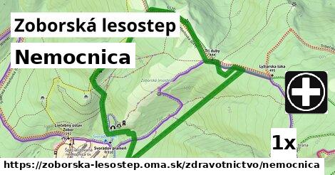 Nemocnica, Zoborská lesostep