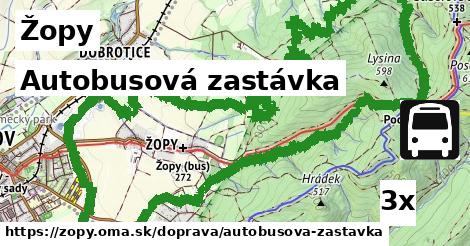 Autobusová zastávka, Žopy