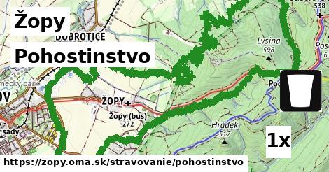 Pohostinstvo, Žopy