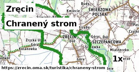 Chranený strom, Zręcin