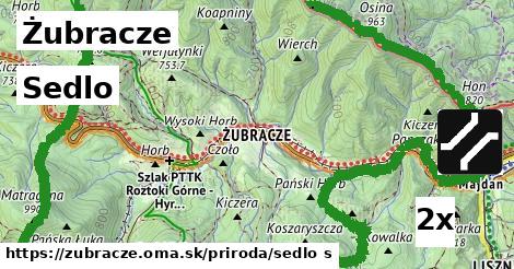 sedlo v Żubracze