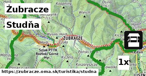 Studňa, Żubracze