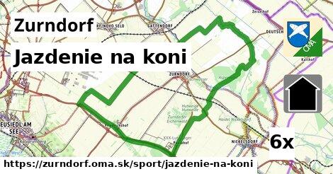 Jazdenie na koni, Zurndorf