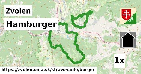 Hamburger, Zvolen